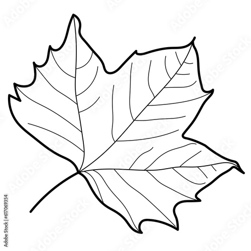 autumn leaves illustration