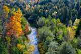Aerial view of colourful autumn forest and blue water stream