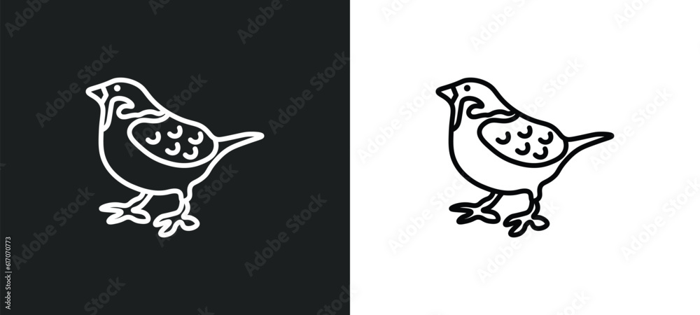 sparrow line icon in white and black colors. sparrow flat vector icon from sparrow collection for web, mobile apps and ui. sparrow line icon in white and black colors. sparrow flat vector icon from sparrow collection for web, mobile apps and ui.
