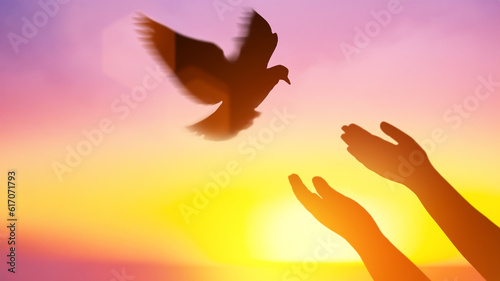 Fotografia Silhouette pigeon return coming to hands in air vibrant sunlight sunset sunrise background