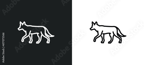 jackal line icon in white and black colors. jackal flat vector icon from jackal collection for web, mobile apps and ui. photo