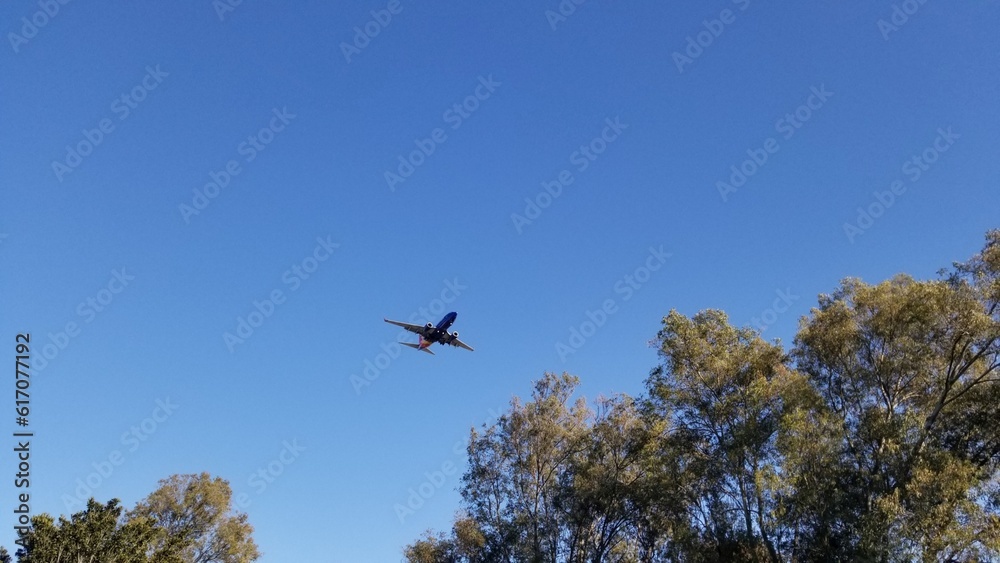 The flying airplane onto the sky of the park The flying airplane onto the sky of the park