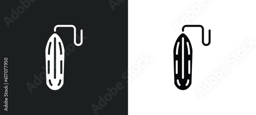 line icon in white and black colors. flat vector icon from collection for web  mobile apps and