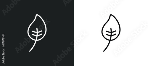 apricot leaf leaf line icon in white and black colors. apricot leaf flat vector icon from apricot collection for web, mobile apps and ui.