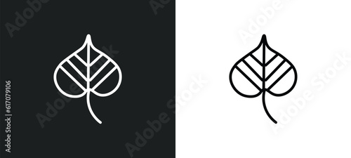 linden leaf line icon in white and black colors. linden leaf flat vector icon from linden leaf collection for web, mobile apps and ui.