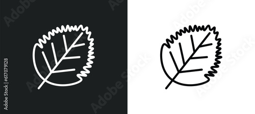 birch leaf line icon in white and black colors. birch leaf flat vector icon from birch leaf collection for web, mobile apps and ui.