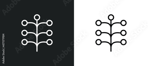 mimosa line icon in white and black colors. mimosa flat vector icon from mimosa collection for web, mobile apps and ui.