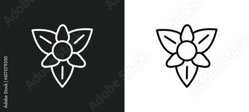 gladiolus line icon in white and black colors. gladiolus flat vector icon from gladiolus collection for web, mobile apps and ui.