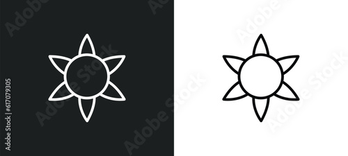 gerbera line icon in white and black colors. gerbera flat vector icon from gerbera collection for web, mobile apps and ui.