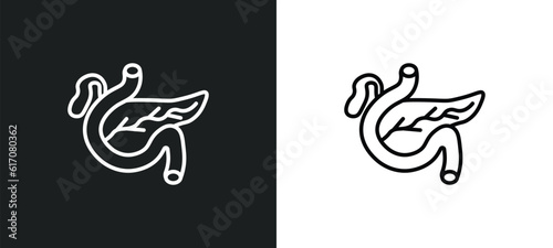 pancreas line icon in white and black colors. pancreas flat vector icon from pancreas collection for web, mobile apps and ui.