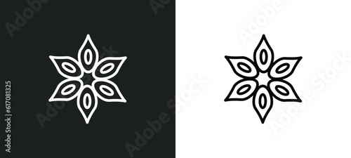 anise line icon in white and black colors. anise flat vector icon from anise collection for web, mobile apps and ui.