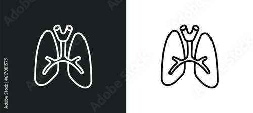 lungs with the trachea line icon in white and black colors. lungs with the trachea flat vector icon from lungs with the trachea collection for web, mobile apps and ui.