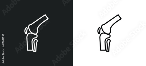 kneecap line icon in white and black colors. kneecap flat vector icon from kneecap collection for web, mobile apps and ui.