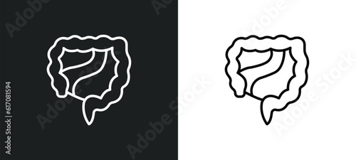 large intestine line icon in white and black colors. large intestine flat vector icon from large intestine collection for web, mobile apps and ui.