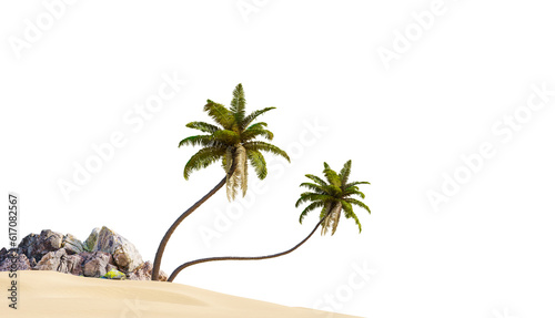 Coconut tree in beach on white background with clipping path, 3D illustration rendering