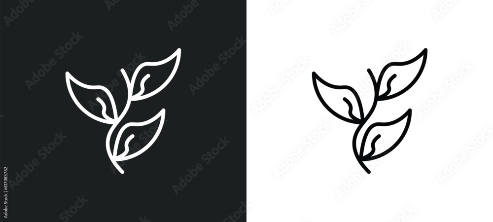 herb line icon in white and black colors. herb flat vector icon from herb collection for web, mobile apps and ui. herb line icon in white and black colors. herb flat vector icon from herb collection for web, mobile apps and ui.