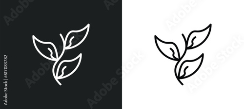 herb line icon in white and black colors. herb flat vector icon from herb collection for web, mobile apps and ui.