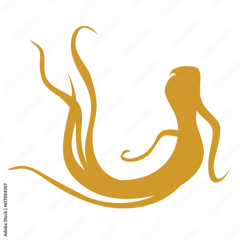 Gingseng Root Vector