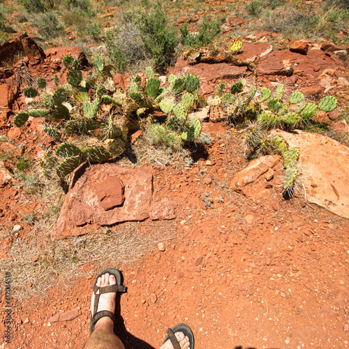 red rock canyon