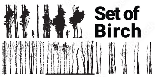 A set of silhouette birch tree vector illustration.