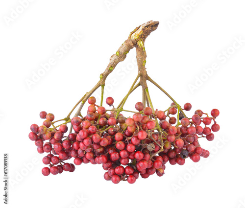 Szechuan pepper (Zanthoxylum piperitum), fruits isolated against on transparent png photo