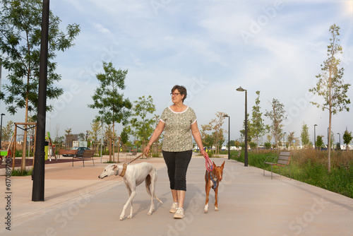 woman walking a galgo and a podenco in the country photo