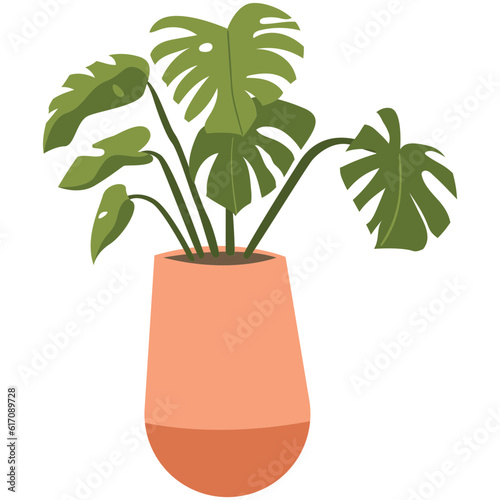 Monstera Plant Color 2D Illustrations