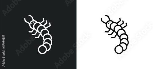 grub line icon in white and black colors. grub flat vector icon from grub collection for web, mobile apps and ui. photo