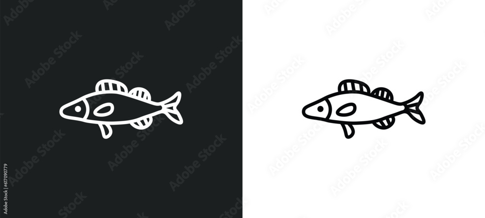 zander line icon in white and black colors. zander flat vector icon from zander collection for web, mobile apps and ui. zander line icon in white and black colors. zander flat vector icon from zander collection for web, mobile apps and ui.