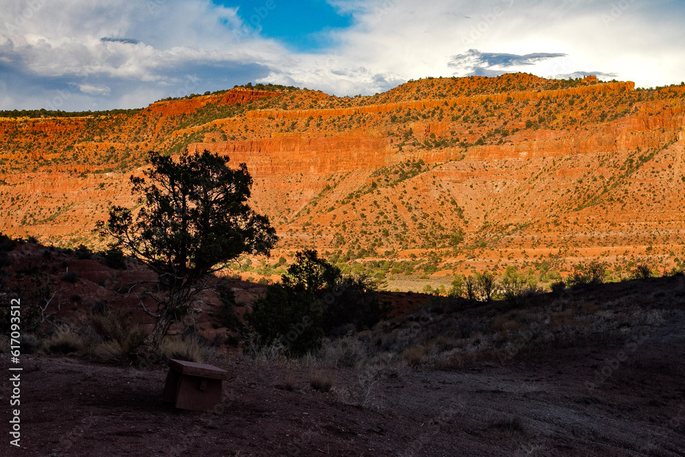 Obraz premium sunset in the desert