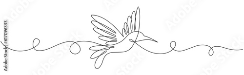 Line art vector iloustration of colibri bird