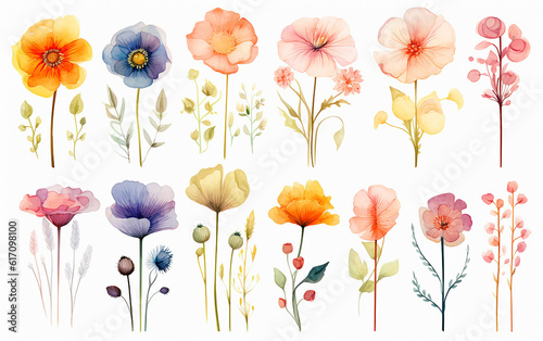 set in stile acquerello di fiori arcobaleno, tipologie diverse, ghirlande colorate, fundo bianco scontornabile, 