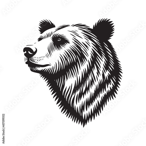 Bear head vector illustration on a white background. Vintage bear illustration