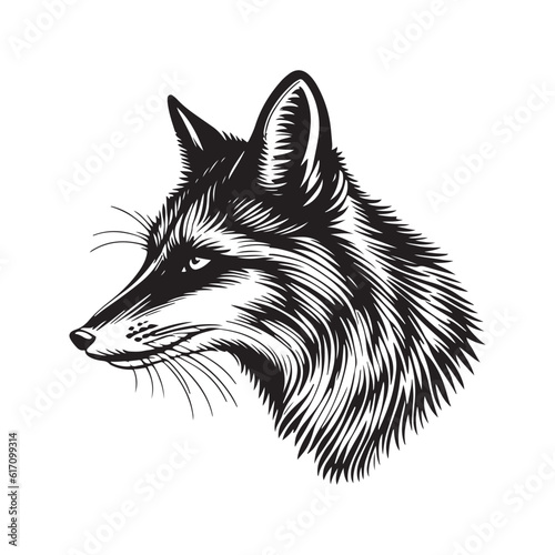 Fox head vector illustration on a white background. Vintage fox illustration