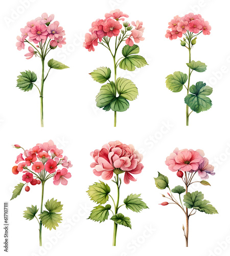 Watercolor geranium set. Generative Ai photo