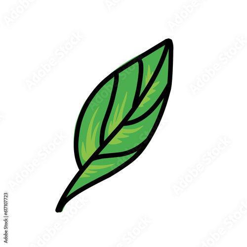 Leaf icon vector set isolated on white background. Various shapes of green leaves of trees and plants. Elements para eco y bio logo.