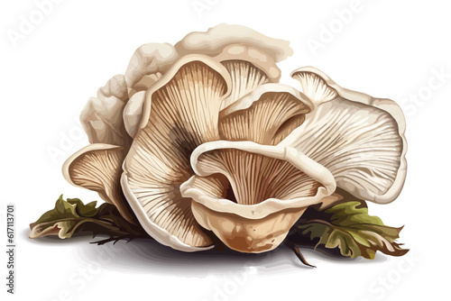 Oyster Mushroom round shape vector art white background.
