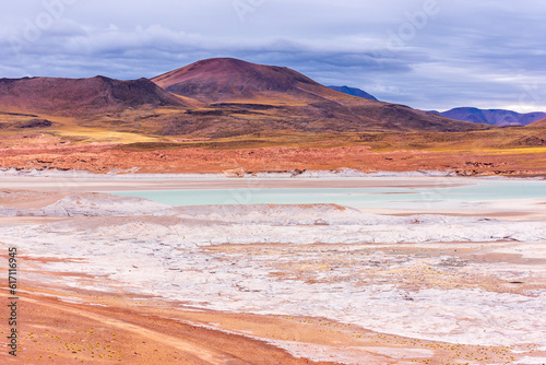Frozen lagoon in Piedras rojas park in Atacama desert