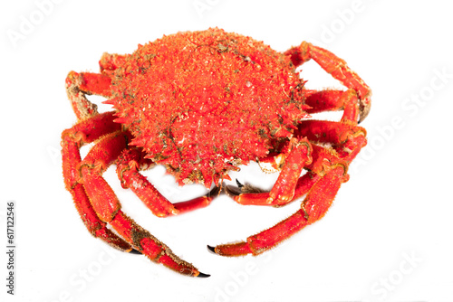 Canvastavla spider crab isolated on white background