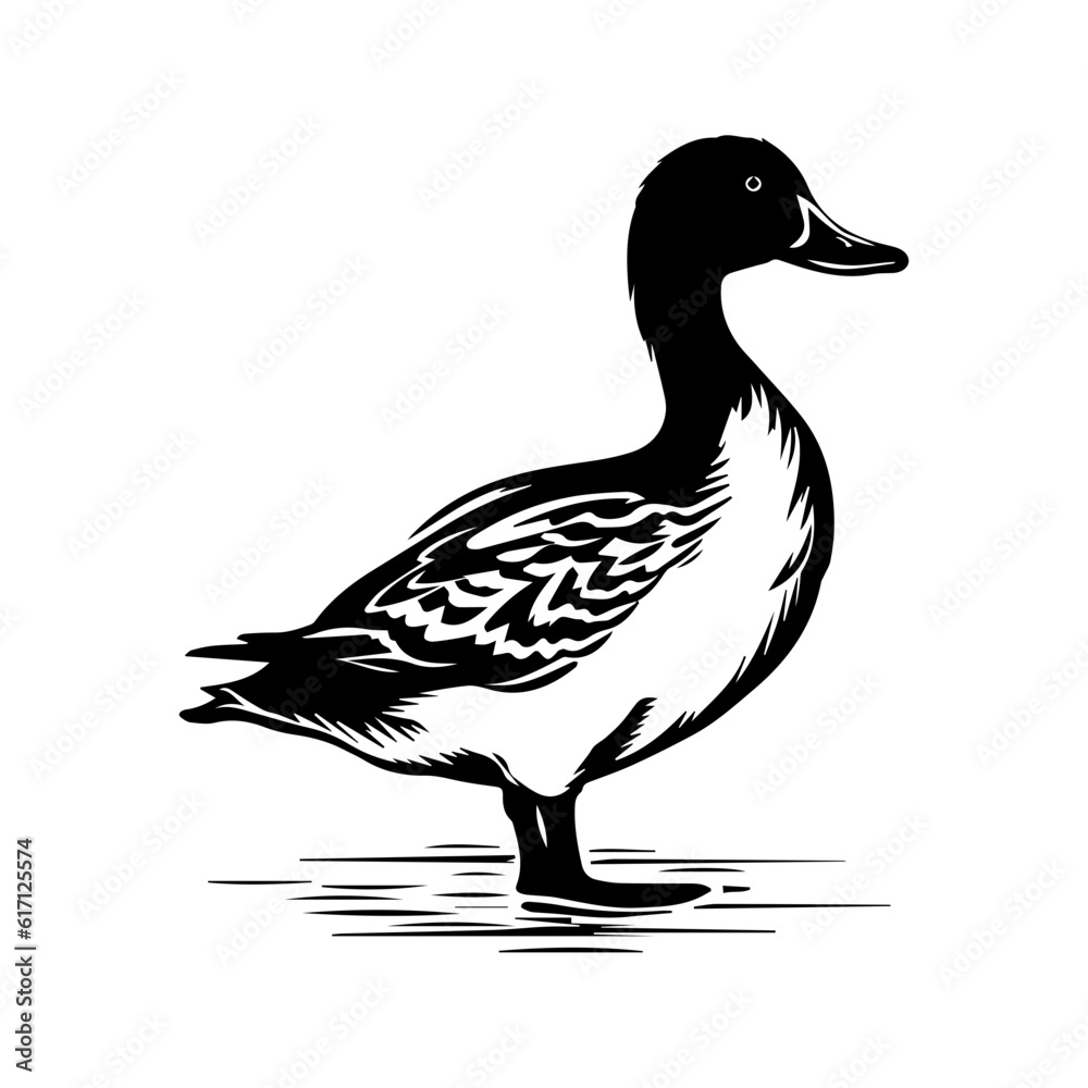 Duck silhouette illustration Duck silhouette illustration