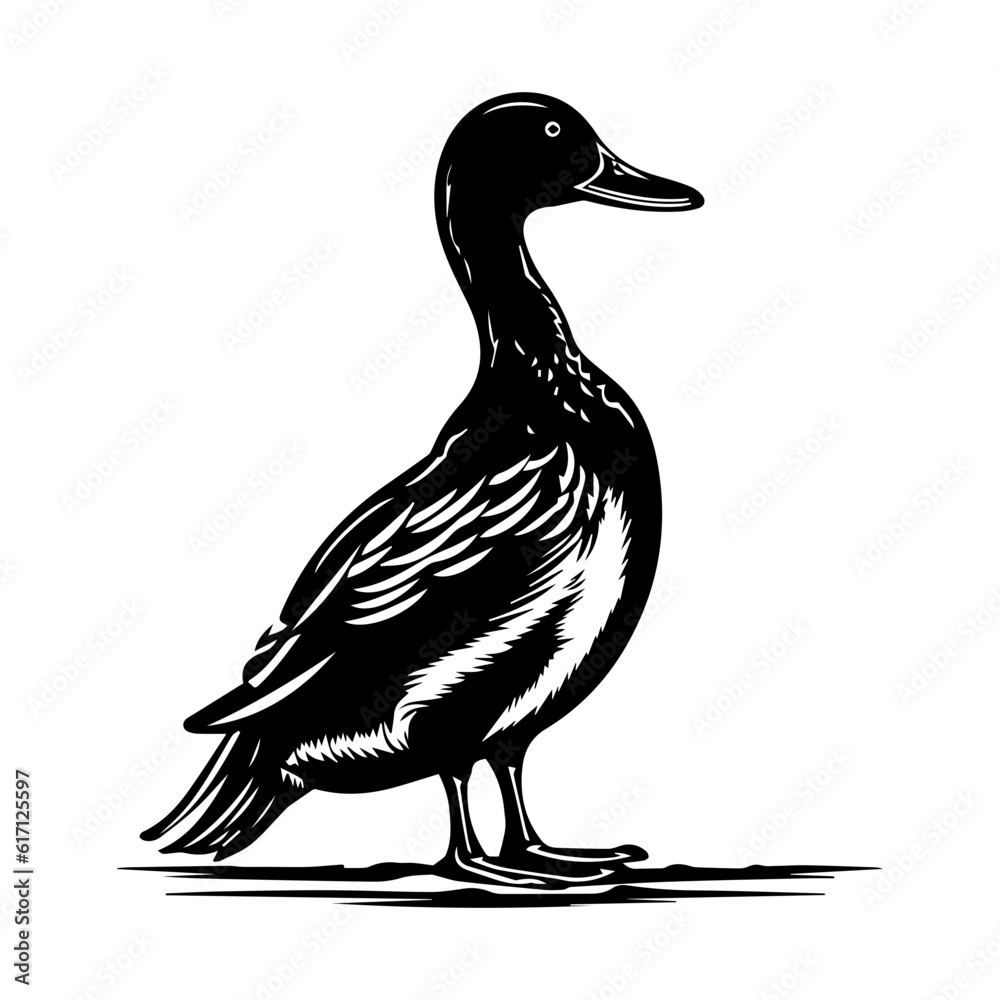 Duck silhouette illustration