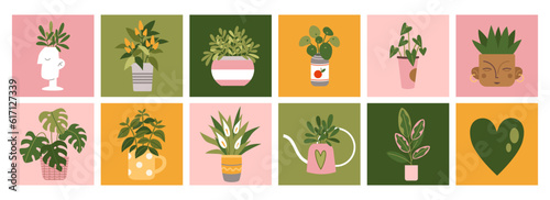 Set with Houseplants, cute square stickers, cartoon style. Urban Cozy home. Trendy modern isolated vector illustration, hand drawn, flat