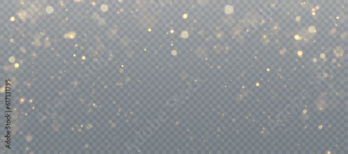 Abstract magic light dust effect with golden bokeh highlights on transparent background. Christmas lights. Glowing flying dust. Vector illustration for New Year's design.