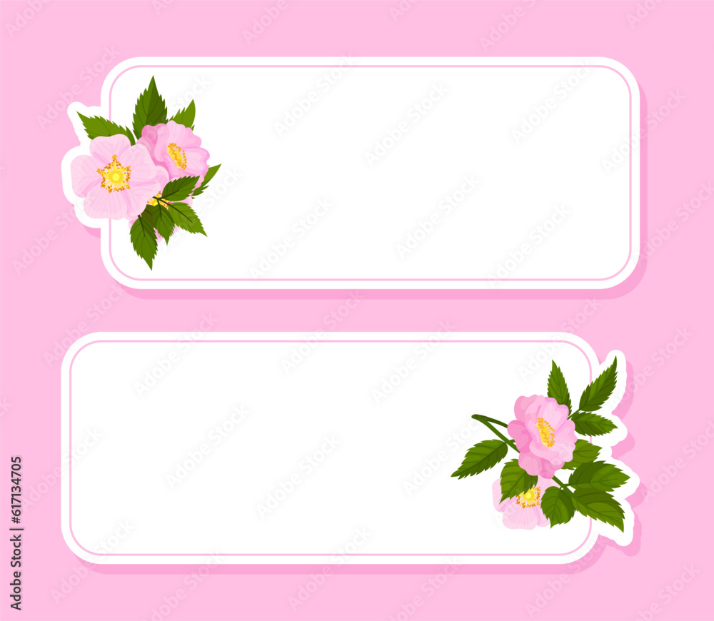 Empty Note Card with Dogrose Flower Pink Buds Vector Template