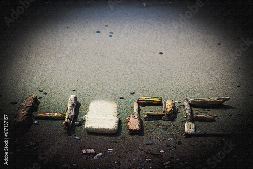 PHOTO-ILLUSTRATION-Driftwood Hope in the Sand at the Lakeside - Background, Backdrop, Church Bulletin or Backdrop, Christian Publications, Bible Study Invitation, Flier, Ad, Social Media Post, Poster,