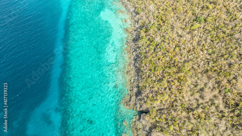Tropical Coastline and Reef Shelf © Darwin Brandis