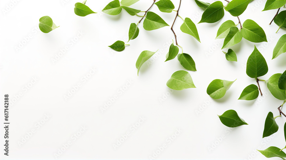 Obraz premium Lush Green Leaves Falling Frame Border Illustration White Background. A.I. Generated.