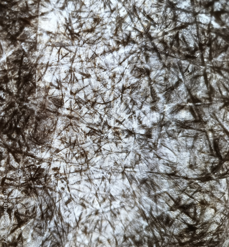 A close up of a pattern of black and white leaves. A close up of a pattern of black and white leaves.
