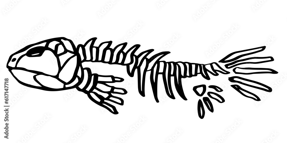 Fish skeleton. Hand drawn black line art vector illustration. Lobe-finned fish. Doodle simple skull skeleton for archaeological, paleontological, alchemy poster, book, game, web designs. Fish skeleton. Hand drawn black line art vector illustration. Lobe-finned fish. Doodle simple skull skeleton for archaeological, paleontological, alchemy poster, book, game, web designs.