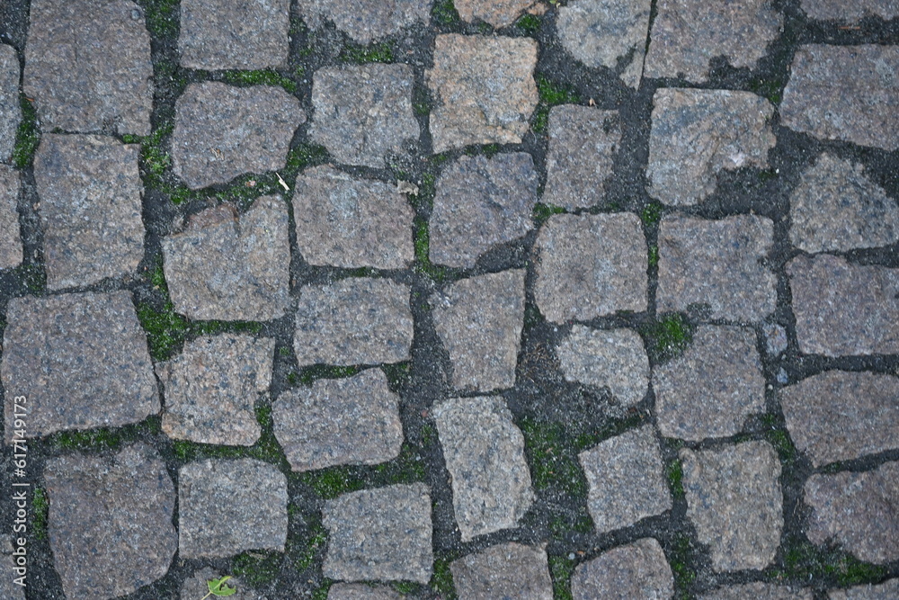 gray paving slabs as a background, pavement paved slabs as a background
gray paving slabs as a background, pavement paved slabs as a background